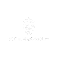 Beverly Hills Chicago Sticker by goldRush Rally