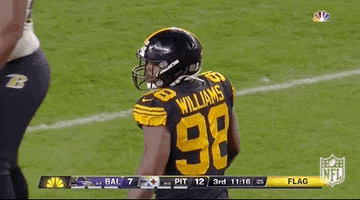 Pittsburgh Steelers Football GIF by NFL