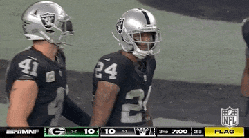 National Football League GIF by NFL