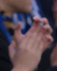 Supporters Blauw-Zwart GIF by Club Brugge