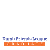 Cat Dog Sticker by The Dumb Friends League