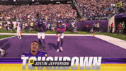 GIF by Minnesota Vikings