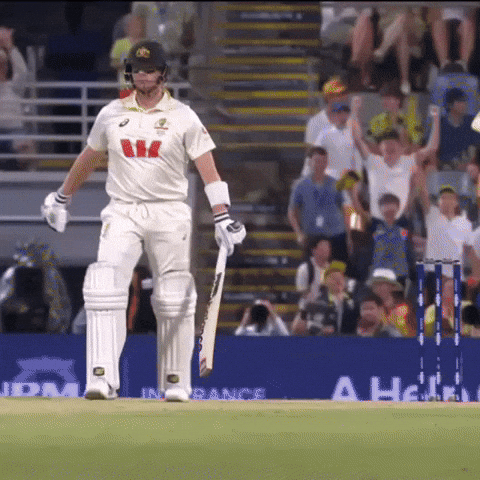 Steve Smith Cricket GIF