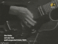 this is so weird set me free GIF