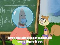 season 4 GIF by SpongeBob SquarePants