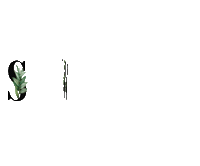 Swipe Up Sticker by Up Medya