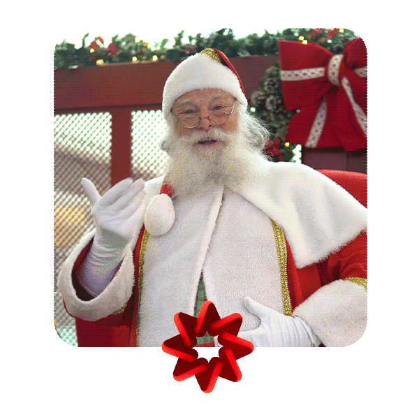 Natal Flamboyant Sticker by Flamboyant Shopping