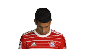 Joao Cancelo Bayern Sticker by Bundesliga
