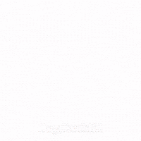 Babuin GIF