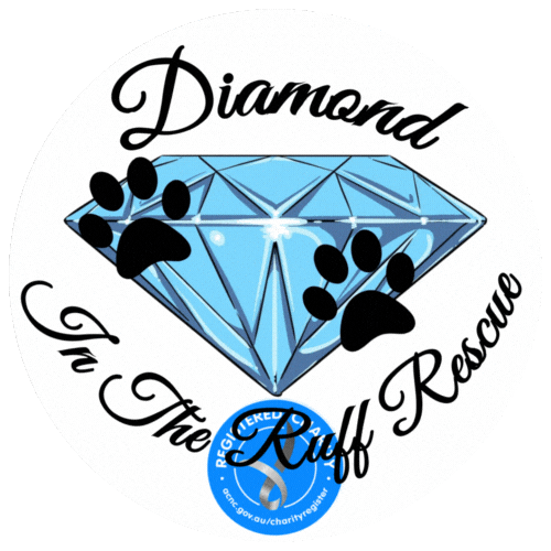 Ditrr Sticker by Diamond In The Ruff Rescue