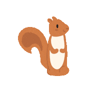 South Carolina Forest Sticker by University of South Carolina