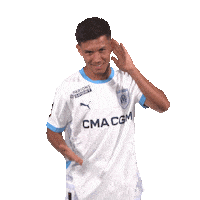 Ligue 1 Football Sticker by Olympique de Marseille