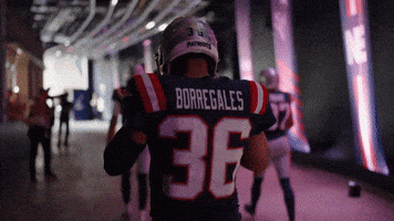 Football Walk Out GIF by New England Patriots