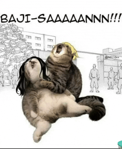 scrollsin giphyattribution giphycreatortest GIF