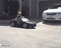 GIF by VakantieVeilingen
