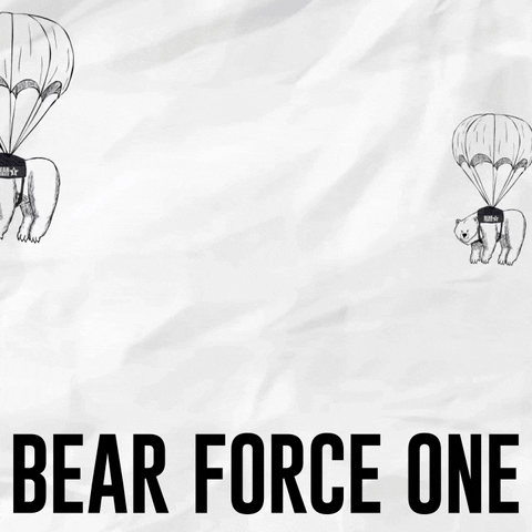 Bear GIF by Kinda Funny