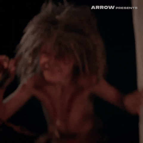 Film Horror GIF by Arrow Video