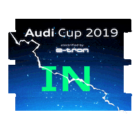 Summer Goal Sticker by Audi Football