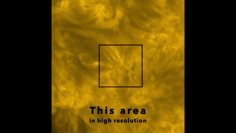 tulsimo giphygifmaker GIF