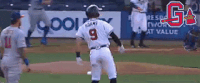 slide GIF by Gwinnett Braves