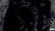 Ray Harryhausen Odyssey GIF by Turner Classic Movies