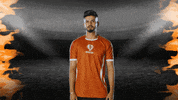 Ipl Dhoni GIF by Dream11