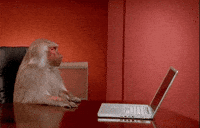 Office Monkey GIF by Bustle