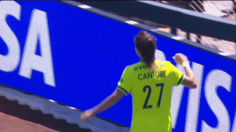 Goalcelebration Washingtonspirit GIF by National Women's Soccer League