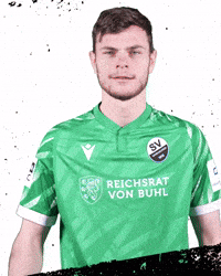 3Liga Wirechtanders GIF by SV Sandhausen