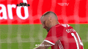 Mad Sl Benfica GIF by Sport Lisboa e Benfica