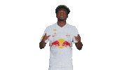 Football Sport Sticker by FC Red Bull Salzburg