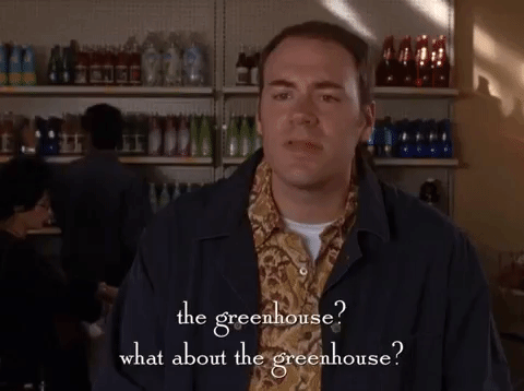 season 5 netflix GIF by Gilmore Girls 