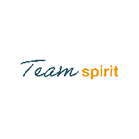 TestoIndustrialServices team teamspirit tis testo Sticker