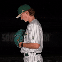 South Florida Baseball GIF by USF Athletics