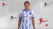 Hertha Bsc No GIF by Bundesliga
