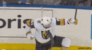 Happy Vegas Golden Knights GIF by NHL