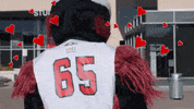 GIF by Rowdy the Roadrunner