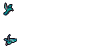 Best Day Ever Boomtick Sticker by BTE