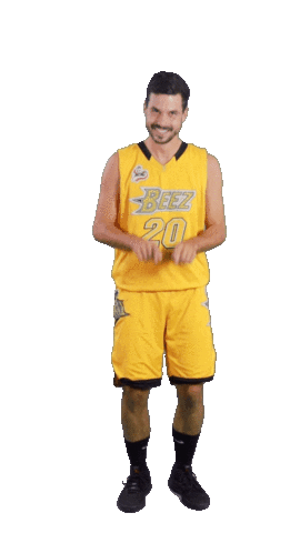 Basketball Swipe Sticker by ACSL - Austrian College Sports League