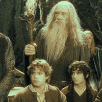 Lotr GIF by eventgraphics