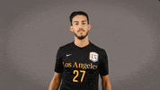 Division Ii Soccer GIF by Cal State LA Golden Eagles
