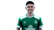 football yes Sticker by SV Werder Bremen