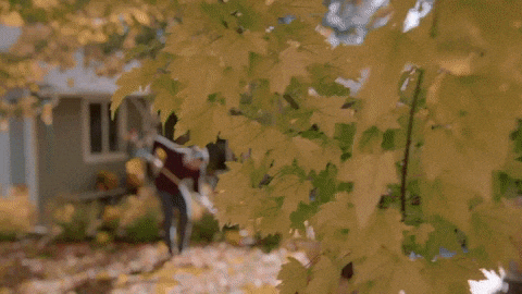 Falling Leaves Dancing GIF by Hallmark Channel