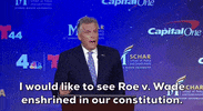 Terry Mcauliffe GIF by GIPHY News