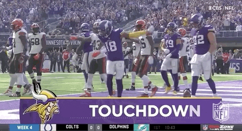 Minnesota Vikings Football GIF by NFL