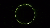 Stop Motion Animation GIF by brittany bartley