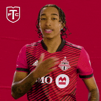 Represent Major League Soccer GIF by Toronto FC