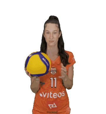 Volley Celebrate Sticker by NUCVolleyball