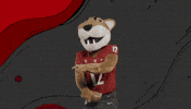Washington State Go Cougs GIF by WSU Pullman