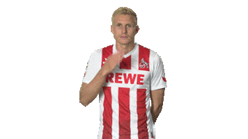 football soccer Sticker by 1. FC Köln